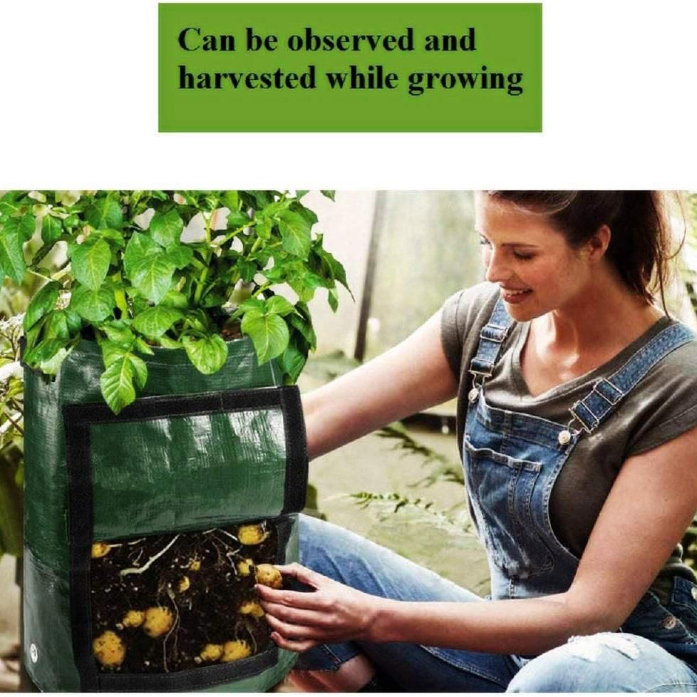 3PCS Potato Grow Bags 7 Gallons Garden Vegetable Planter with Handles Access Flap for VegetablesTomatoCarrot