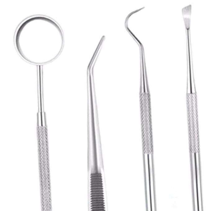 Dental Tools Cleaning Kit Personal Use Stainless Steel 4 Pieces