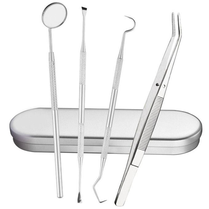 Dental Tools Cleaning Kit Personal Use Stainless Steel 4 Pieces