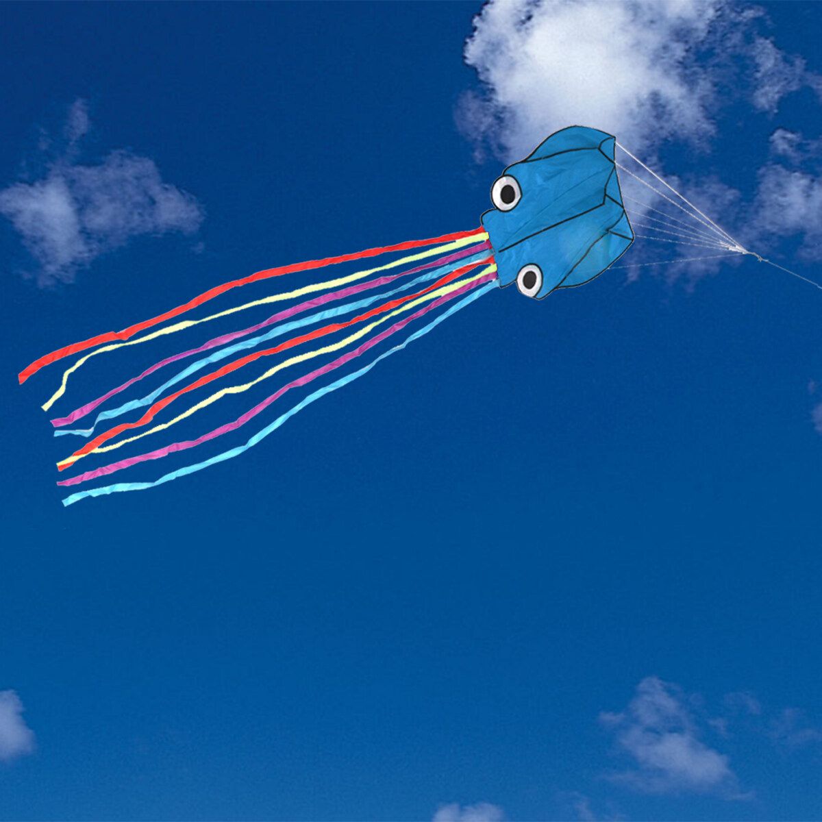 4M Octopus Flying Kite Weekends Kids Fun Outdoor Holiday Game Park Beach Gifts Kite Blue