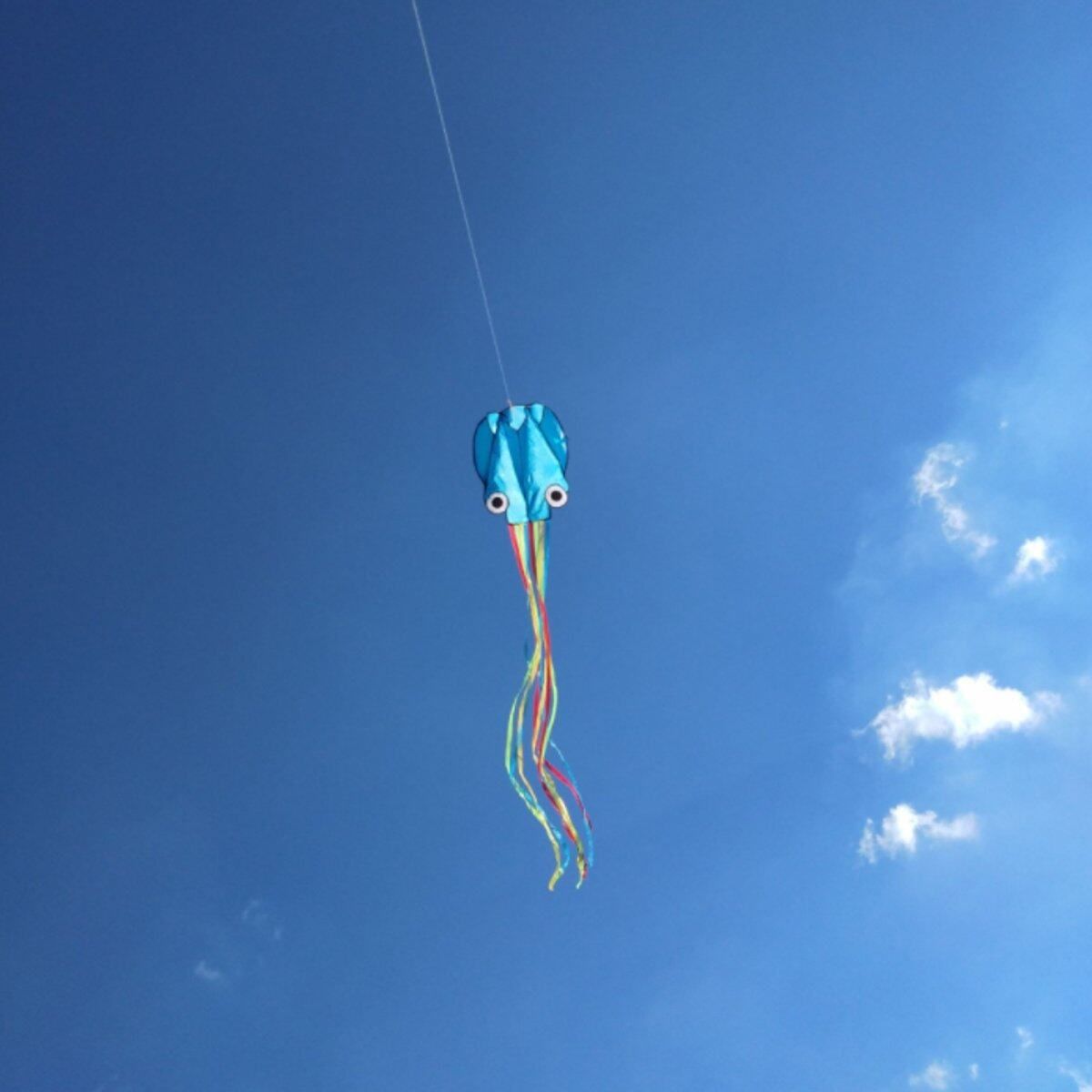 4M Octopus Flying Kite Weekends Kids Fun Outdoor Holiday Game Park Beach Gifts Kite Blue