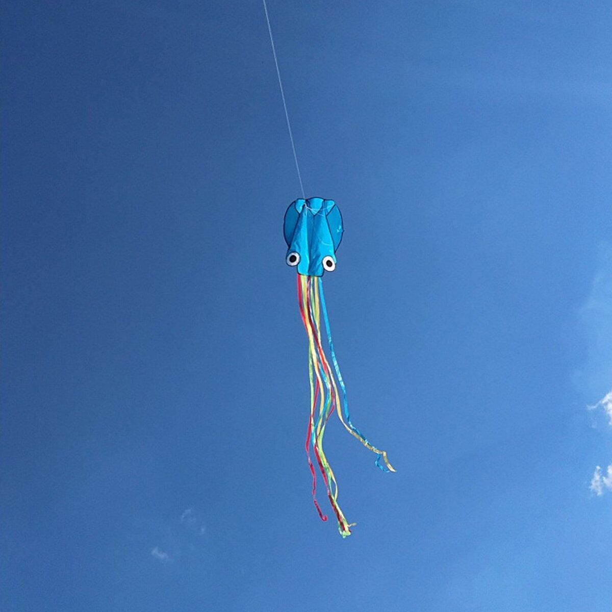 4M Octopus Flying Kite Weekends Kids Fun Outdoor Holiday Game Park Beach Gifts Kite Blue
