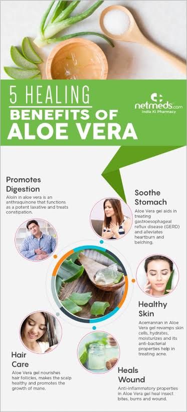 Aloe Vera 100% Gel For Sunburn & Irritated Skin -500ml