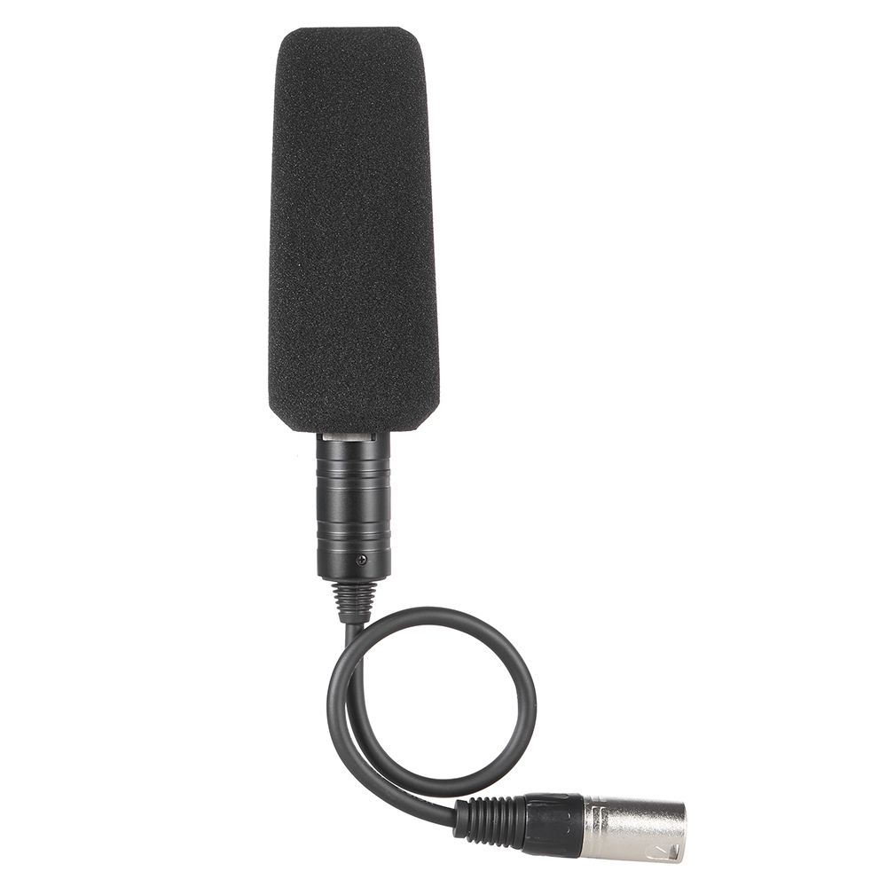 Video Recording Interview Photography Stereo Condenser