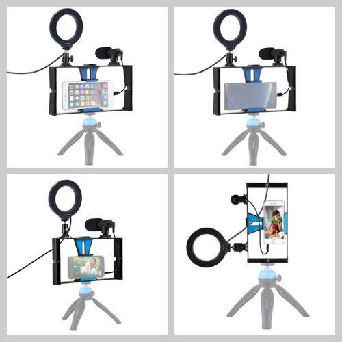 3 In 1 Vlogging Live Broadcast Smartphone Video Rig + Microphone + 4.7 Inch 12cm Ring LED Selfie Light Kits(Tripod Not Included）