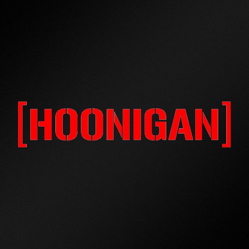 10 PCS HOONIGAN Car Sticker Vinyl Auto Window Decal(Red)