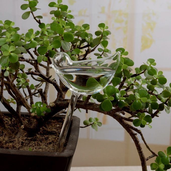 Plant Waterer Bird Self Watering  Hand Blown Clear Glass