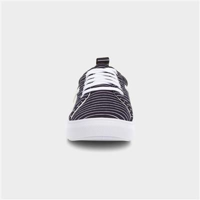 Womens Navy Stripe Lace Up Canvas