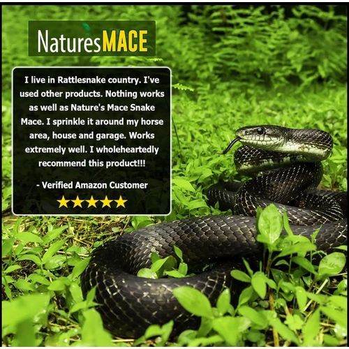 Snake MACE 3lb Granular Bag, Treats 1,500 Sq.Ft Snake  Repellent