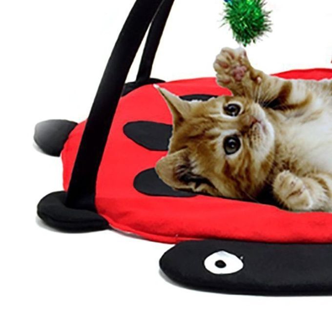 Pet Cat Bed Play Tent Toys Blanket House Furniture With Ball Red & Black