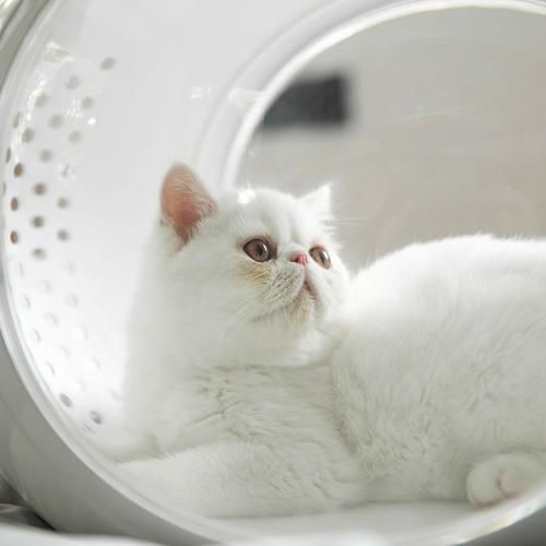 Dogs Cat Houses Folding Pet Carrier Cage Collapsible Puppy Crate Handbag Carrying Bags Pets Supplies Transport Accessories