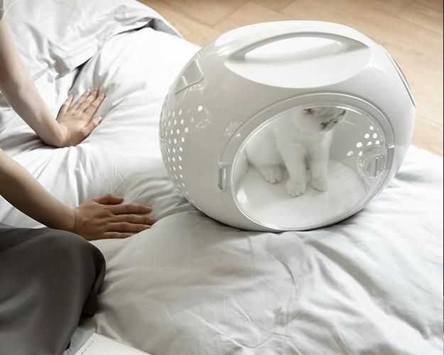 Dogs Cat Houses Folding Pet Carrier Cage Collapsible Puppy Crate Handbag Carrying Bags Pets Supplies Transport Accessories