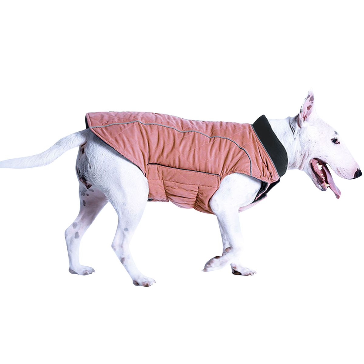Dog Winter Jacket Padded Reflective Warm Quilted Outdoor Pet