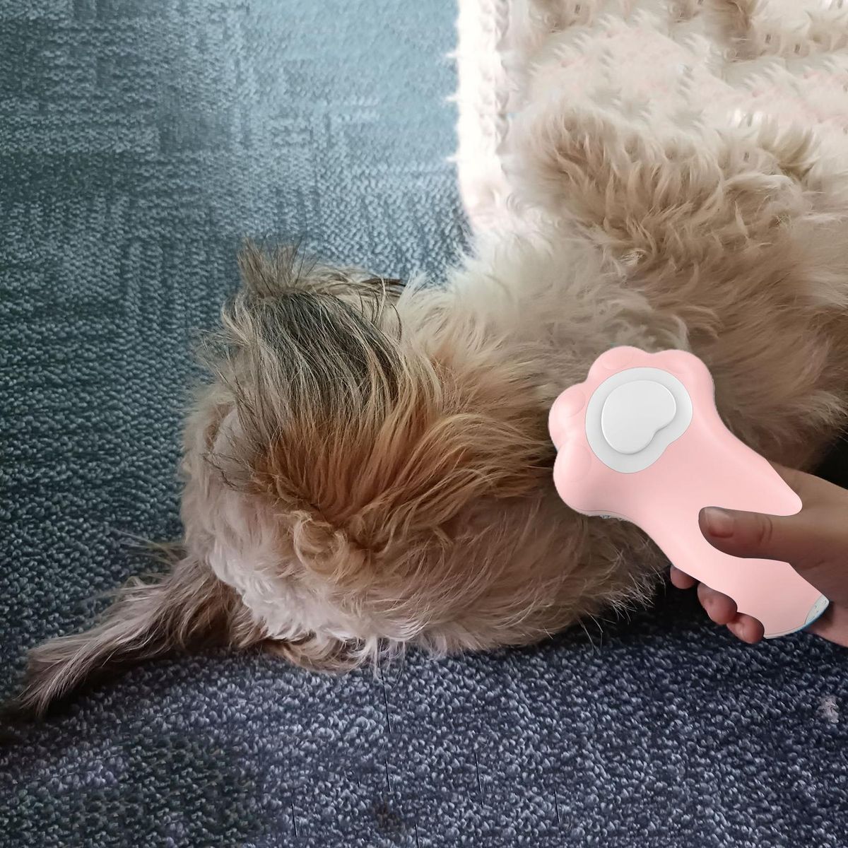 Multi-functional Pet Brush Pet Spa Brush Leakproof Shampoo Dispenser Pink