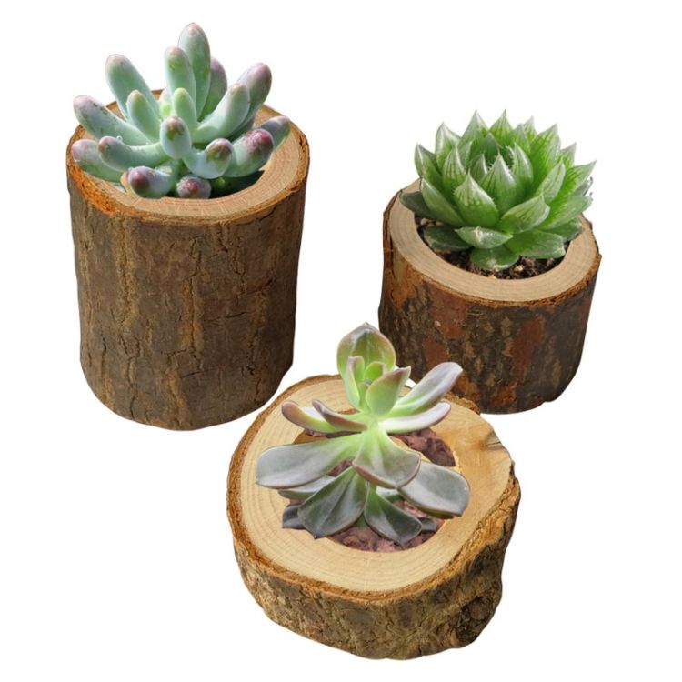 3 PCS Natural Log Round Plant Pot