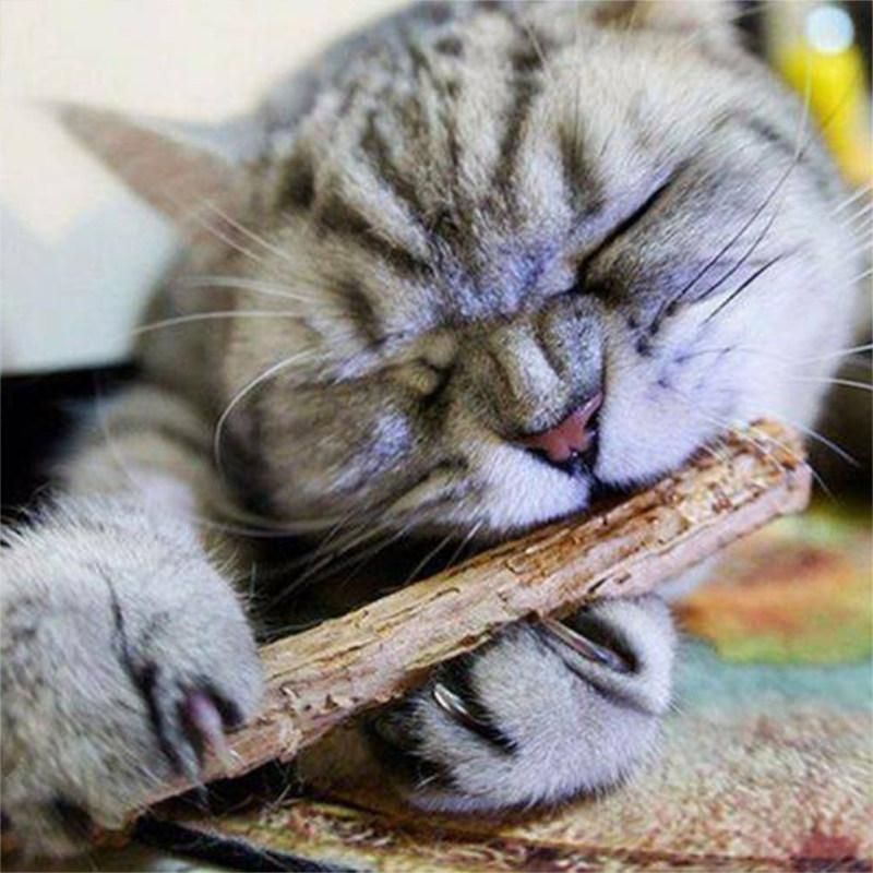 15/20Pcs Pet Cats Kitten Snacks Matatabi Chew Stick Molar-