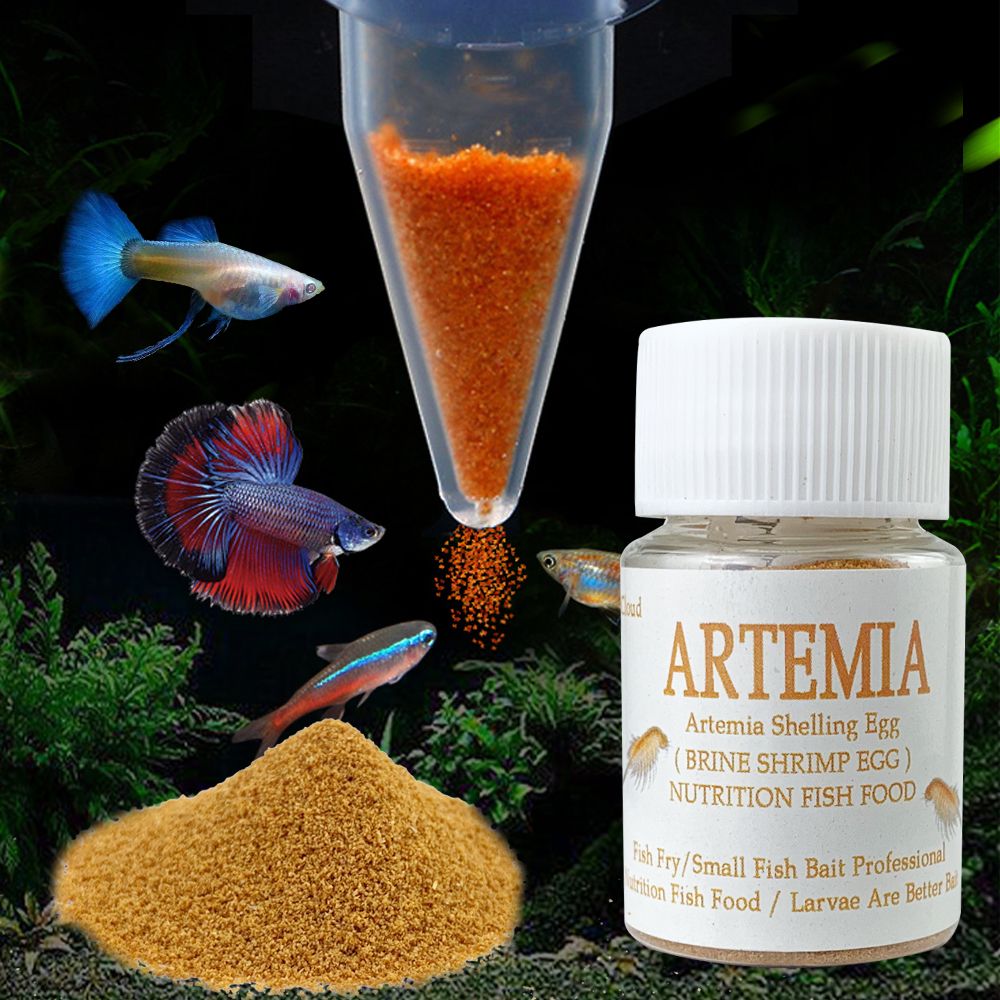 Quality Aquarium Fish Food Artemia Egg Brine Shrimp