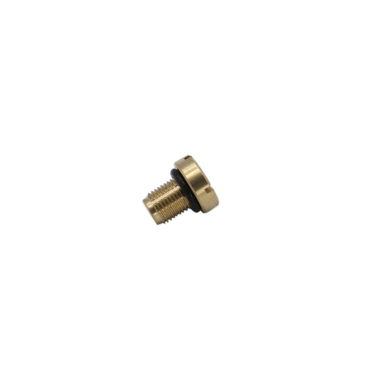 Coolant Expansion Tank Bleeder Screw Brass Most Models