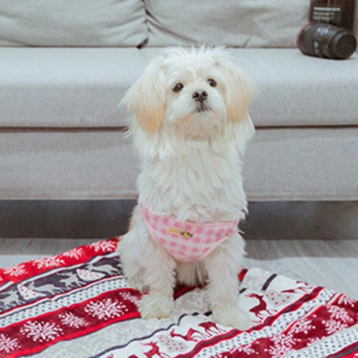 Pet Cushion Cat Blanket Warm Puppy Mat
