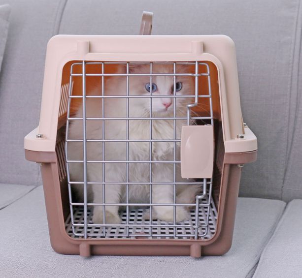 Pet Carrier - Dog & Cats Box Crate