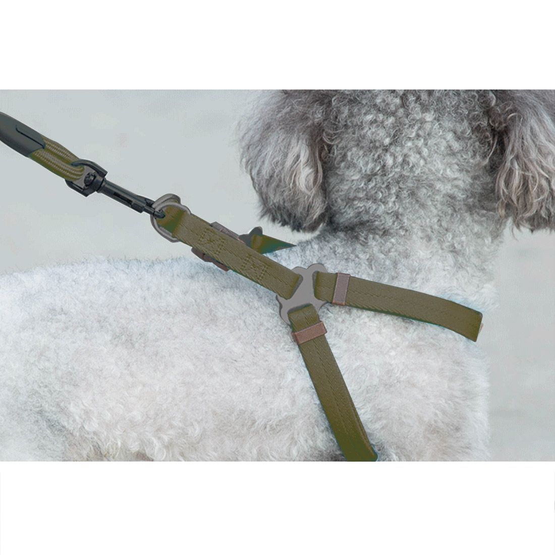 Pet Dog Collar + Harness + Leash Three Sets