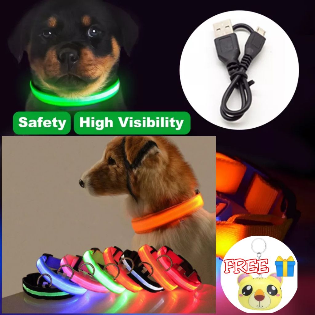 2pcs XL Adjustable USB Charging/Battery LED Anti-Lost Collar For Pet Dogs Puppies