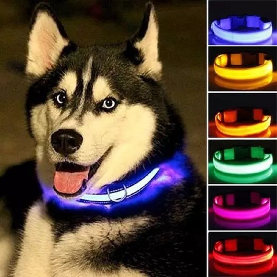 2pcs XL Adjustable USB Charging/Battery LED Anti-Lost Collar For Pet Dogs Puppies