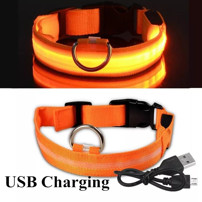 2pcs XL Adjustable USB Charging/Battery LED Anti-Lost Collar For Pet Dogs Puppies