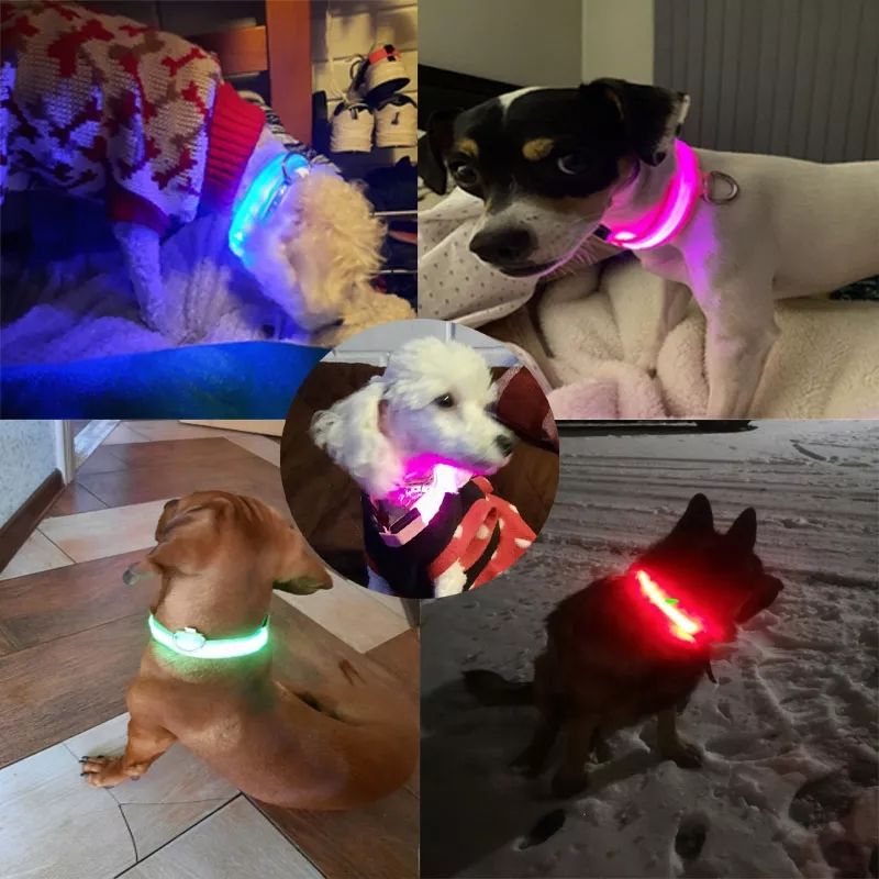 2pcs XL Adjustable USB Charging/Battery LED Anti-Lost Collar For Pet Dogs Puppies