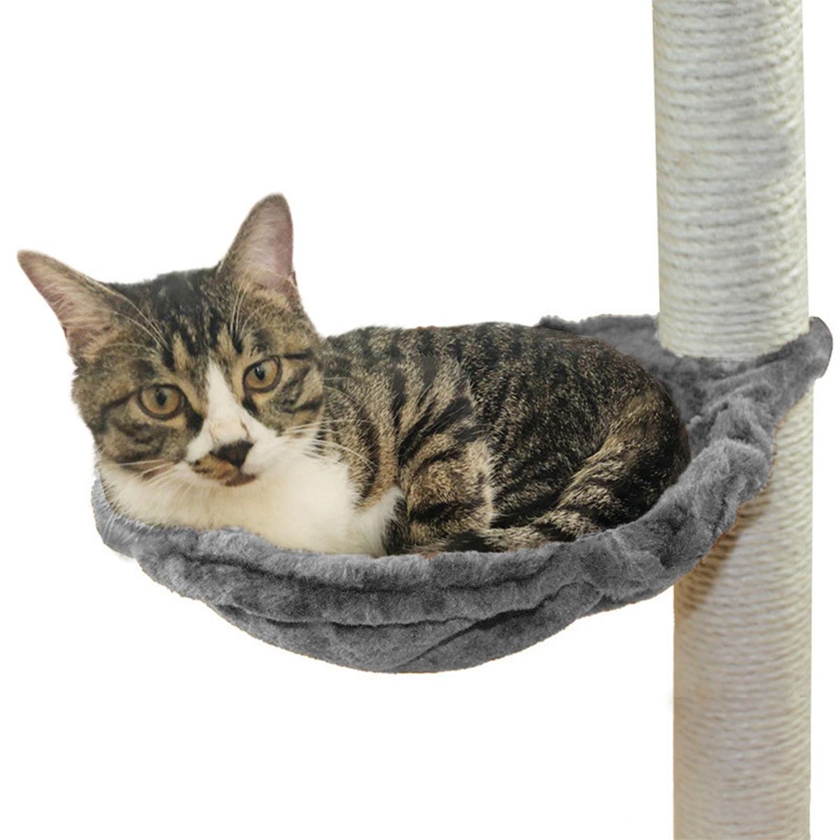 Cat  Perch Pet Bed Shelf Cushion Blanket Mattress