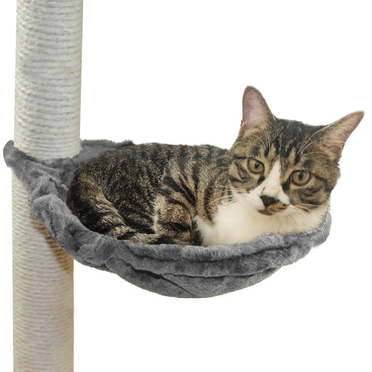 Cat  Perch Pet Bed Shelf Cushion Blanket Mattress