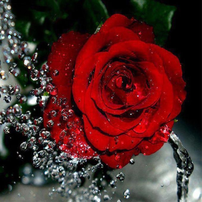 DIY 5D Diamond Painting Red Rose Rhinestone Embroidery Full