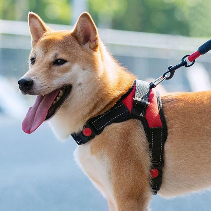 Pet dog leash, reflective safety dog leash, for medium dogs, length 150cm