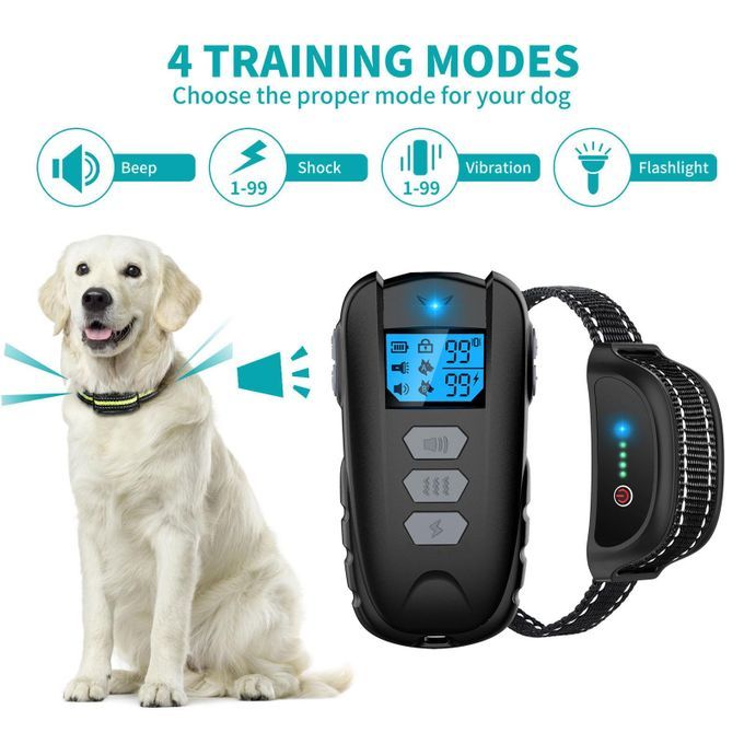 Electric Shock Collar With 4 Training Modes Flashlight Shock Gray