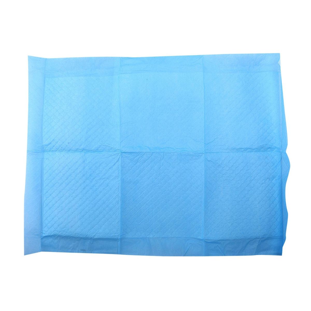 100Pcs Super Absorbent Pet Diaper Dog Training Pee Pads