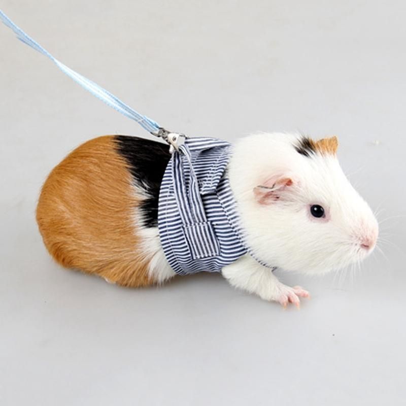 Small Pet Rabbit Harness Vest and Leash Set for Ferret Guinea Pig Bunny Hamster Puppy Chest Strap Harness Blue L