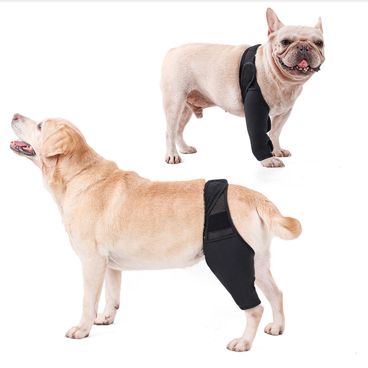 Dog Recovery Sleeve Front Rear Leg Support Brace For Injury