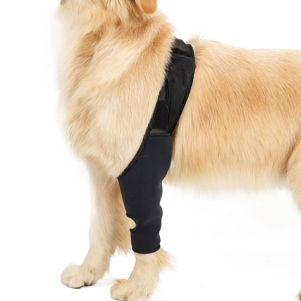 Dog Recovery Sleeve Front Rear Leg Support Brace For Injury