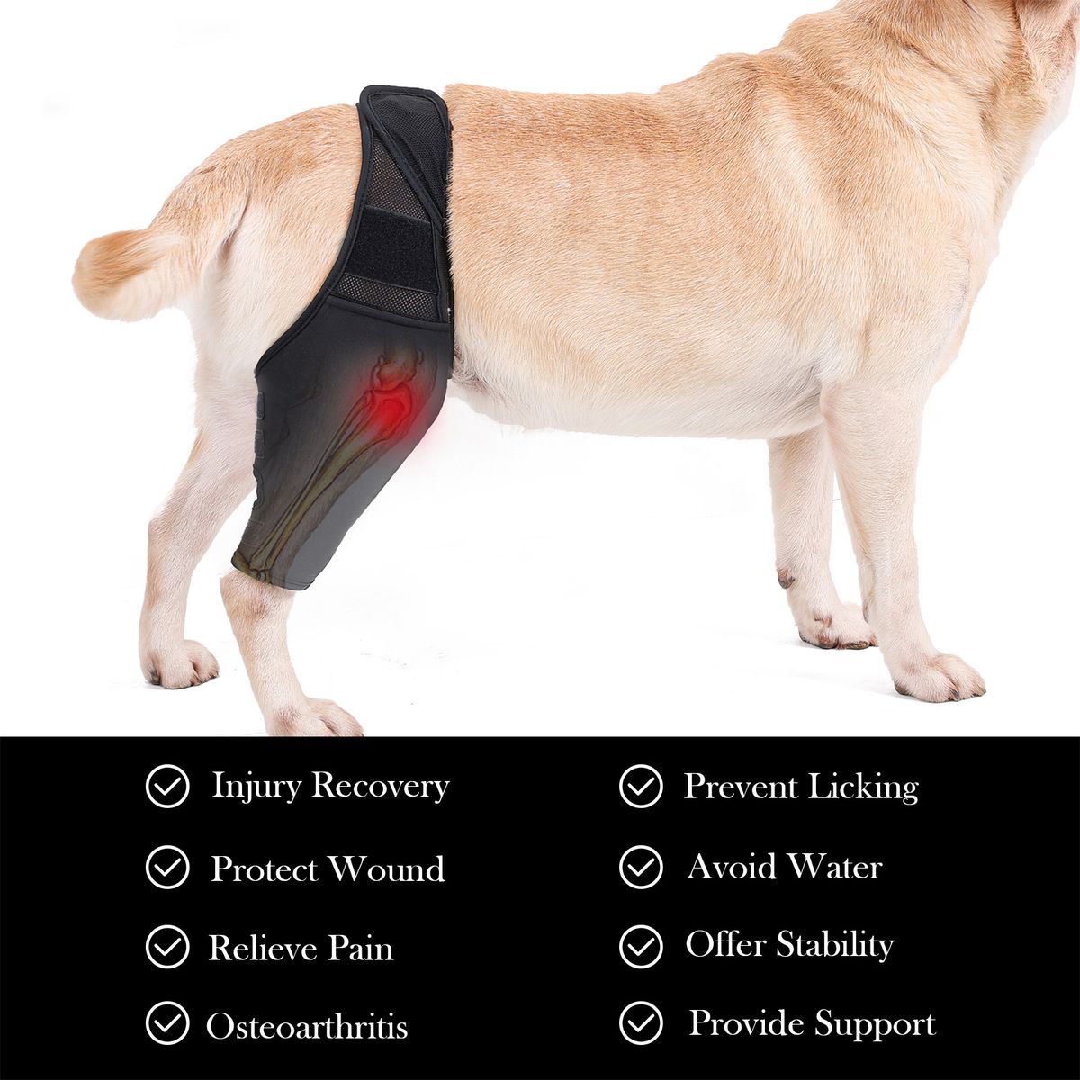 Dog Recovery Sleeve Front Rear Leg Support Brace For Injury