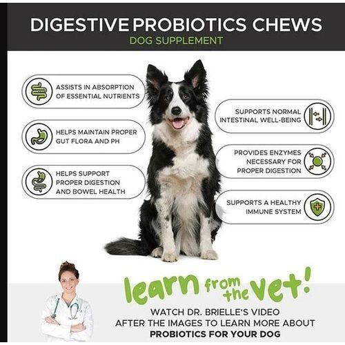 Digestive Probiotics Chews 90 Count -For Dogs