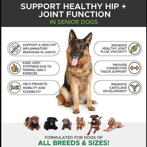 Senior Dog Mobility (90 Count) Hip & Joints
