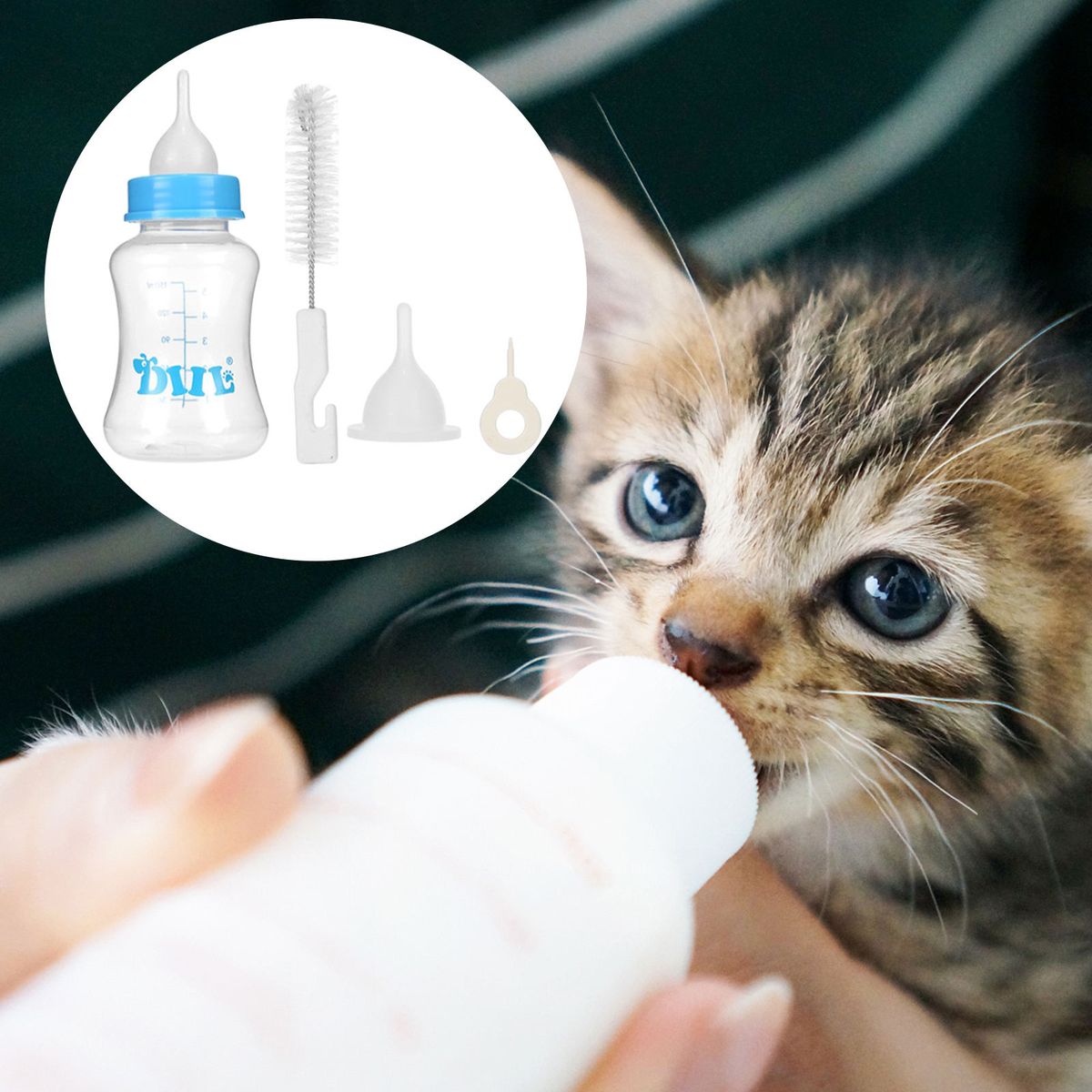 Cat Dog Milk Bottle Pet Puppy Kitten Baby Animal Feeding Bottle