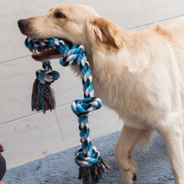 60CM Pets Toys Bite Molar Tooth Rope Dog Toy For Large Dogs Rottweiler Dog Toys Golden Retriever Chewing Teeth Big Toys-Green