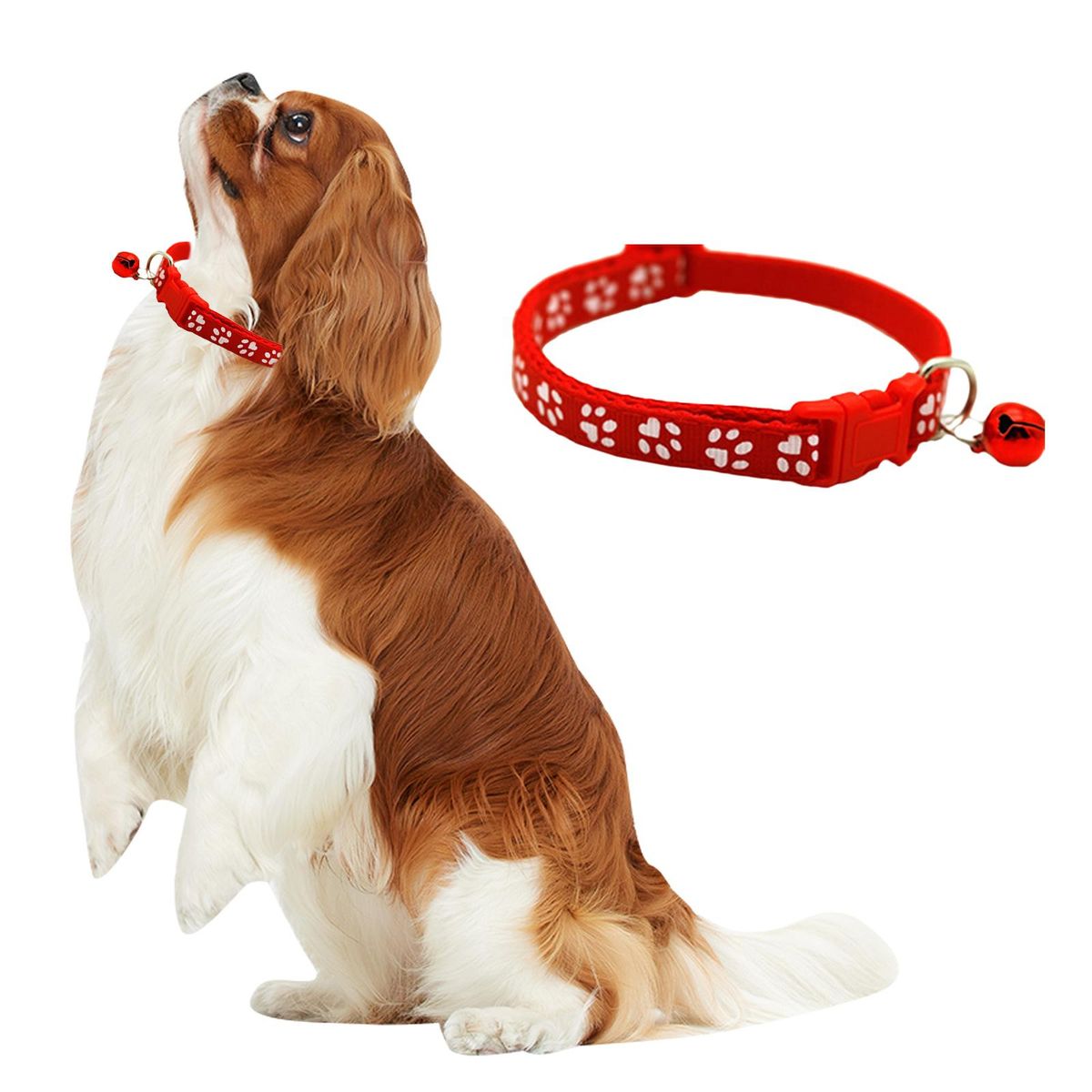 Cat Collar Cat Charm Dog Bell Choker For Kitty Small