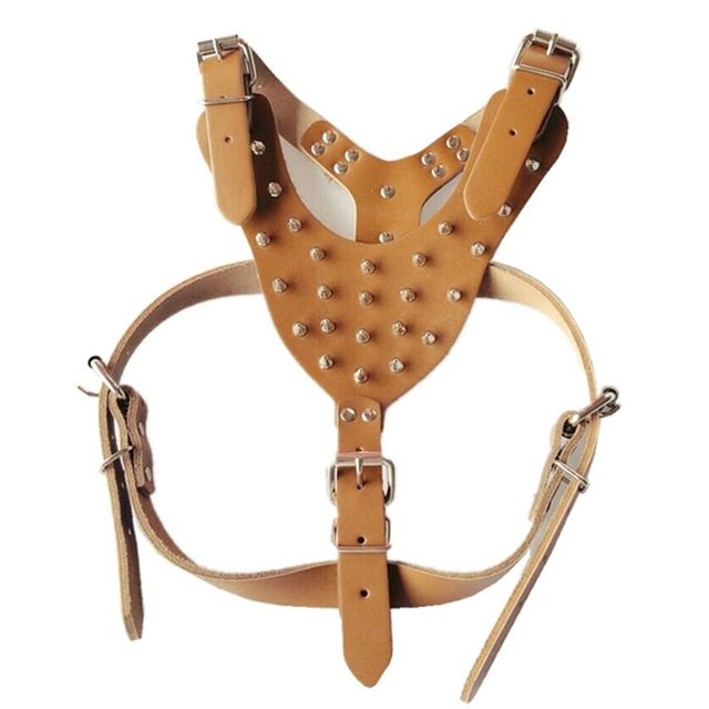 Dog Leash Pet Chain Rope