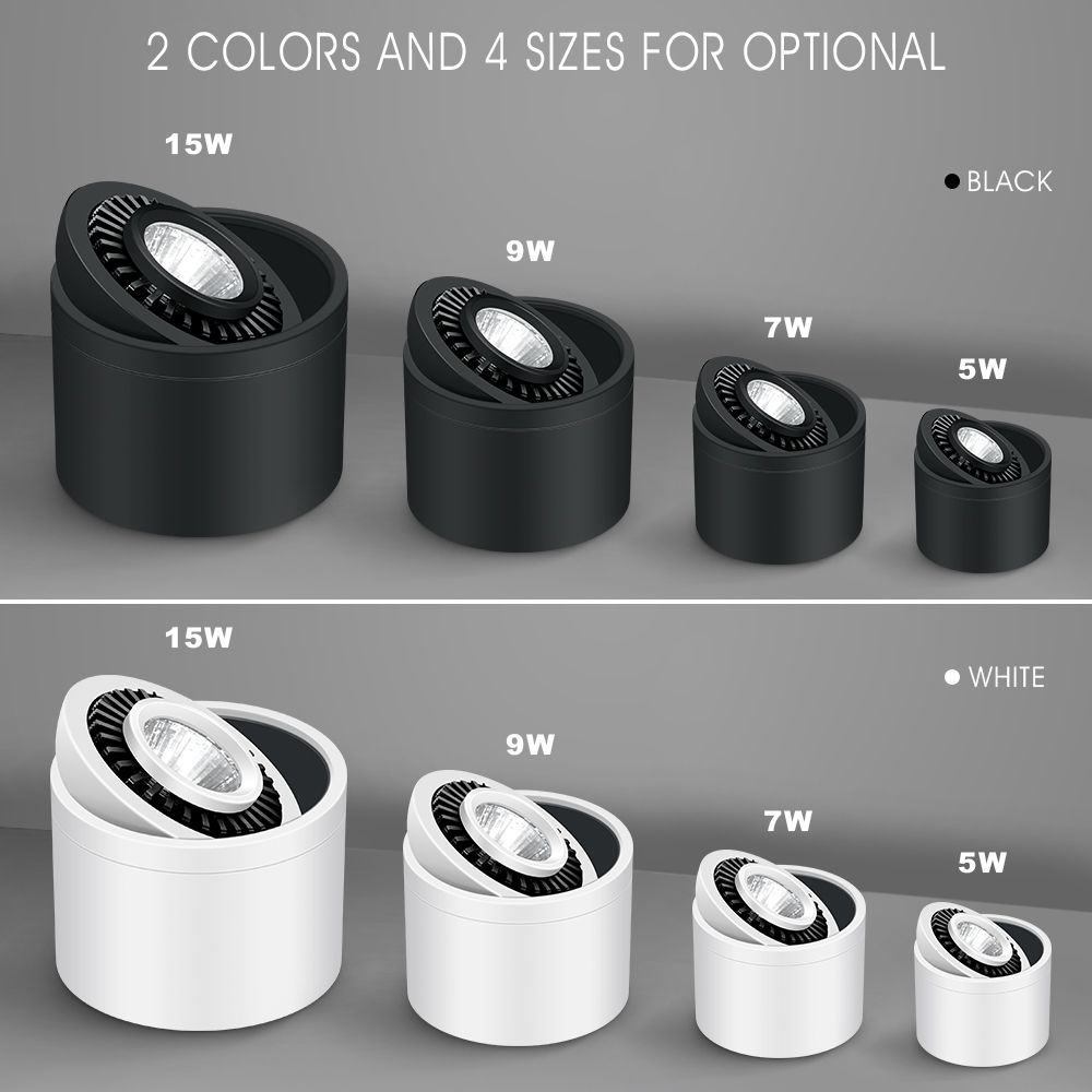 [DBF]Angle Adjustable Dimmable Surface Mounted Downlight