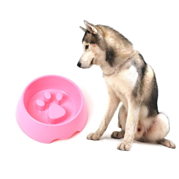 Pet Food Bowl Anti-choking Pet Bowl Slow Food Dog Print Food Bowl