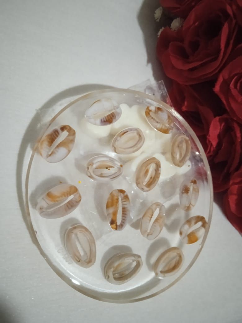 Round Cowries Design Coaster