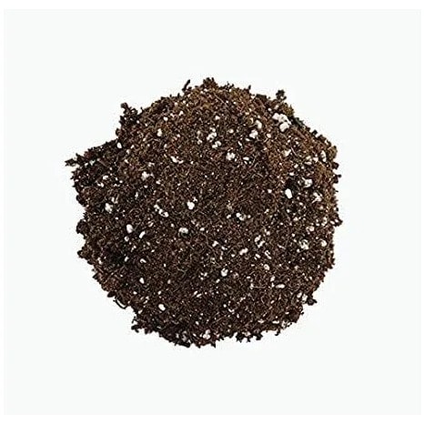 All Purpose Potting Soil Mix - Sphagnum Peat Moss & Perlite - 32kg Bag