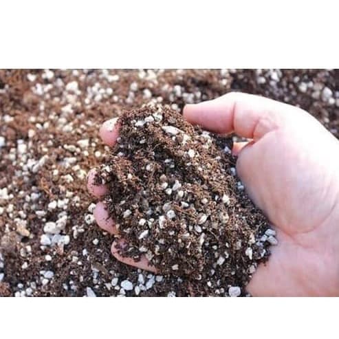 All Purpose Potting Soil Mix - Sphagnum Peat Moss & Perlite - 32kg Bag